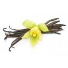 Vanilės absoliutas (Vanilla planifolia) 2ml