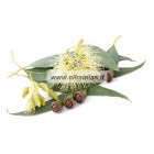 10/30/100 ml Eukalipto eterinis aliejus (Eucalyptus Globulus)