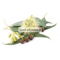 10/30/100 ml Eukalipto eterinis aliejus (Eucalyptus Globulus)