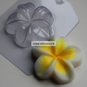 Plastikinė muilo forma ''Gėlė pliumerija''