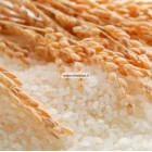 Hidrolizuoti ryžių proteinai 10/100ml