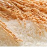 Hidrolizuoti ryžių baltymai 10/100ml