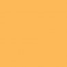Šviesiai oranžinės spalvos dažai 10ml