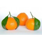 10/30/100ml Mandarinų eterinis aliejus (Citrus reticulata)