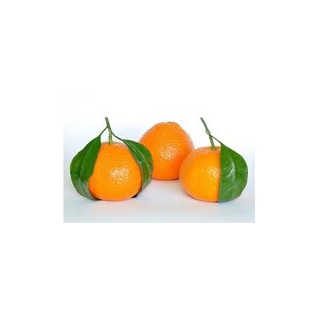 Mandarinų eterinis aliejus (Citrus reticulata) 5/10ml