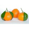 Mandarinų eterinis aliejus (Citrus reticulata) 5/10ml